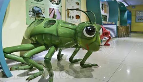 中國(guó)科學(xué)院上海昆蟲博物館