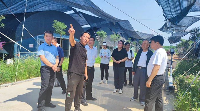 西農(nóng)學(xué)子三下鄉(xiāng)：深入西同鞮，探索振興路