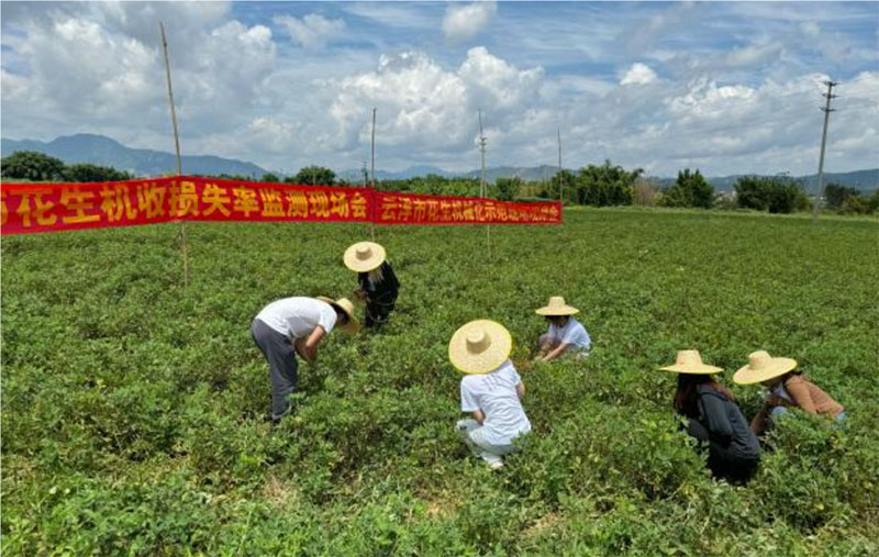 廣東羅定：大學生暑期實踐團，齊心獻力鄉(xiāng)村振興建設