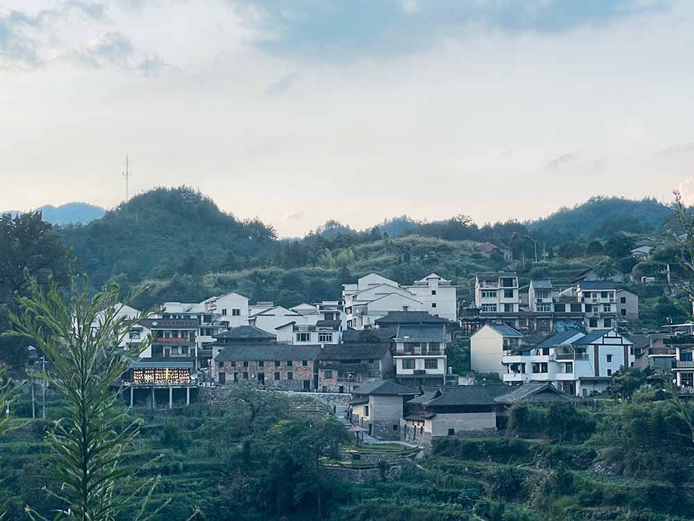 暑期社會(huì)實(shí)踐·大學(xué)生助力鄉(xiāng)村米酒，把酒賣到“云上”去