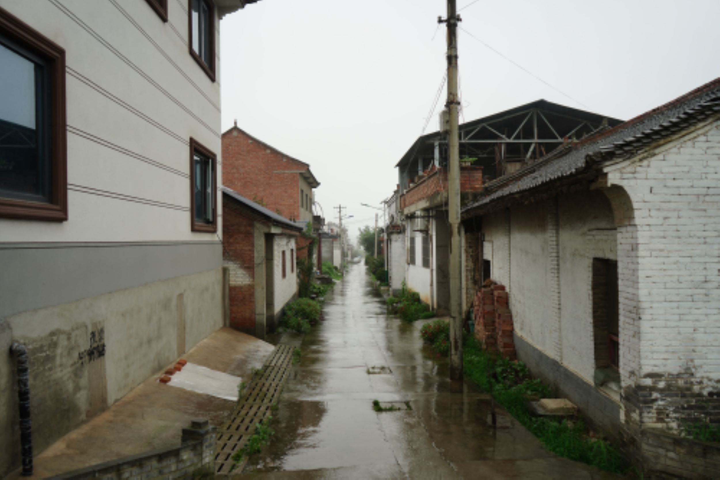 "胡劉村雨中尋紅色，長安隊心間續(xù)薪火"
