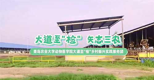 大道至簡，三農(nóng)情牽：青島農(nóng)業(yè)大學動物醫(yī)學院鄉(xiāng)村振興實踐服務團走訪養(yǎng)殖天地