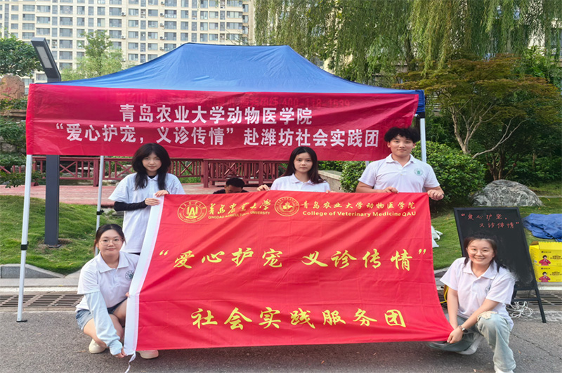 青島農(nóng)業(yè)大學(xué)“愛心護(hù)寵，義診傳情”社會實踐服務(wù)團(tuán)：攜手共筑愛寵家園 并肩共繪和諧畫卷