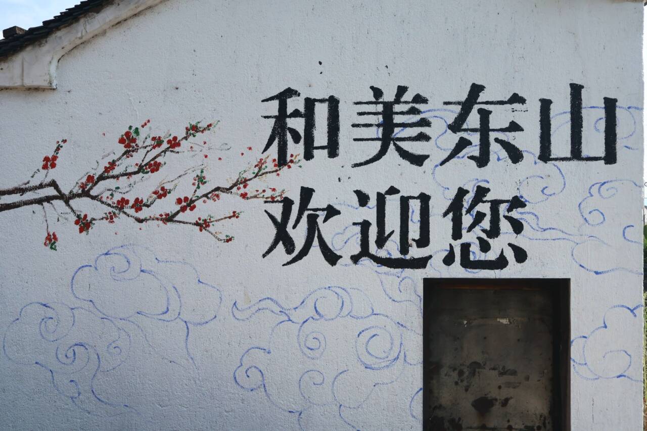 踐行黨的二十屆三中全會精神，青年先鋒助力建設(shè)和美鄉(xiāng)村