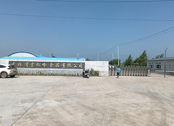 淮師學(xué)子三下鄉(xiāng)：聚焦城鎮(zhèn)發(fā)展，守望振興藍(lán)圖
