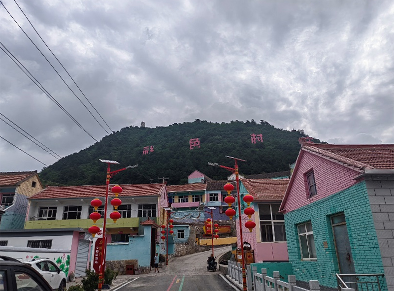 七彩村莊煥發(fā)新生機(jī)，連翹產(chǎn)業(yè)助力鄉(xiāng)村振興