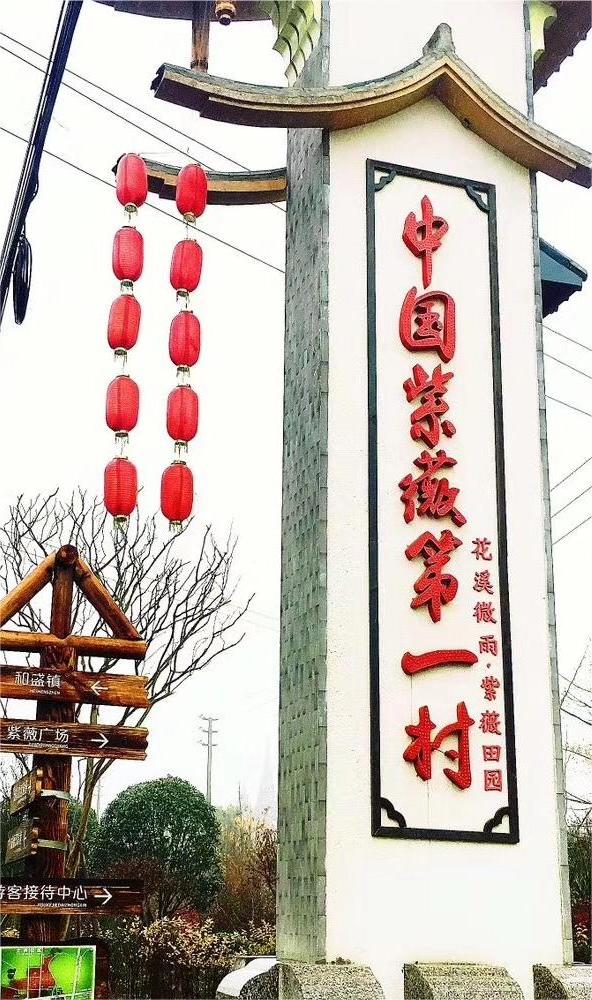 “新路”、“興路”、“心路”——以陳家渡村為例探討產(chǎn)業(yè)轉(zhuǎn)型推動鄉(xiāng)村振興