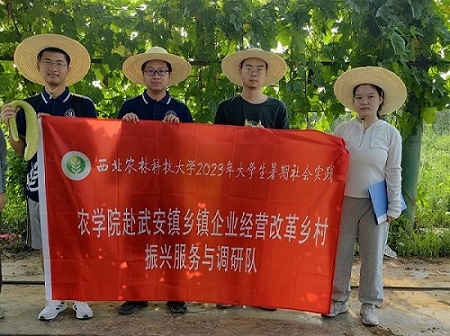 實(shí)踐厚植愛(ài)農(nóng)思想 科技驅(qū)動(dòng)鄉(xiāng)村振興