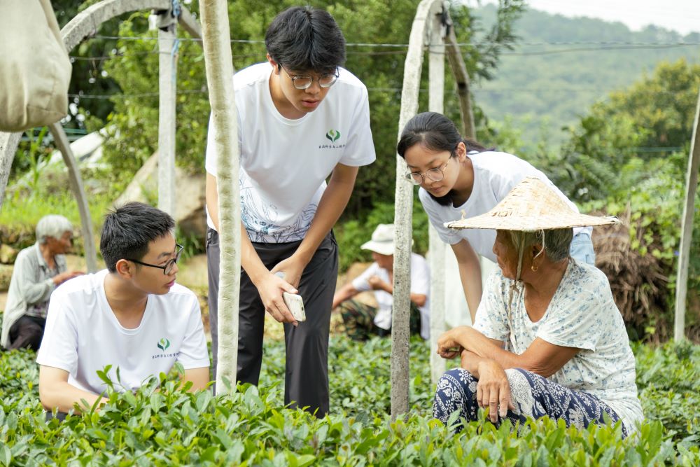 茶韻悠悠，青春筑夢；山香裊裊，智慧助農(nóng)