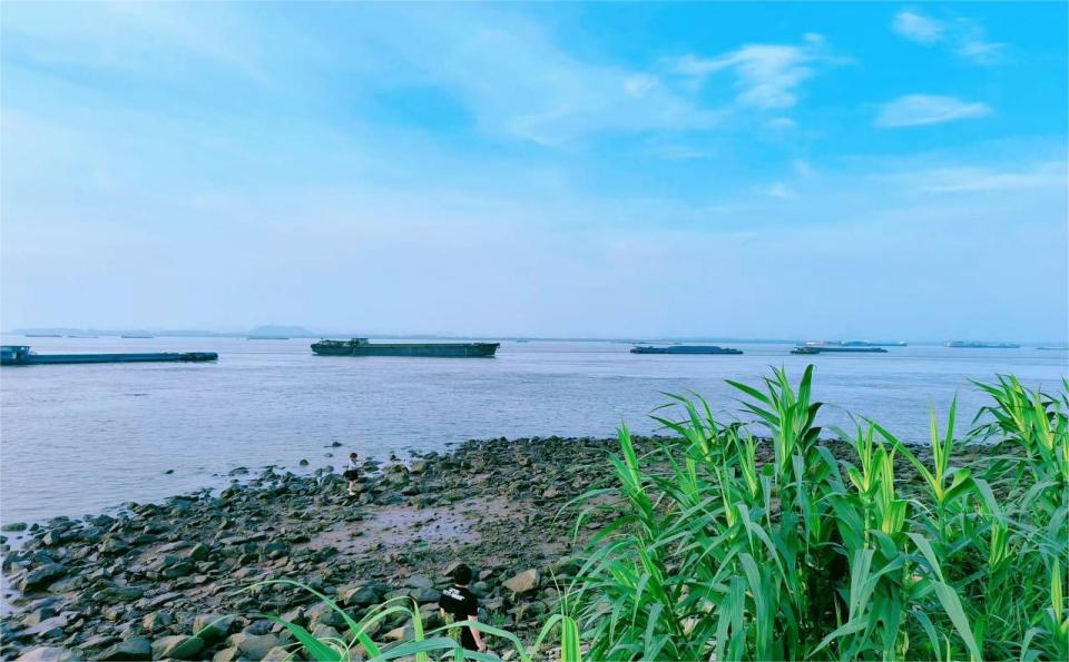 探廣陵運(yùn)河， 護(hù)綠水之美