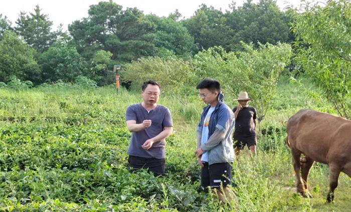筆耕鄉(xiāng)土察民情，躬身入局謀振興