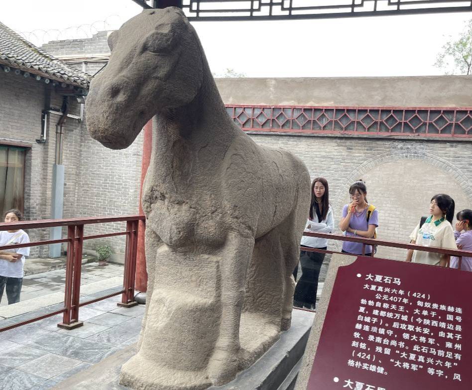 西農(nóng)學(xué)子三下鄉(xiāng)|尋脈中華傳統(tǒng)，助力文化傳承