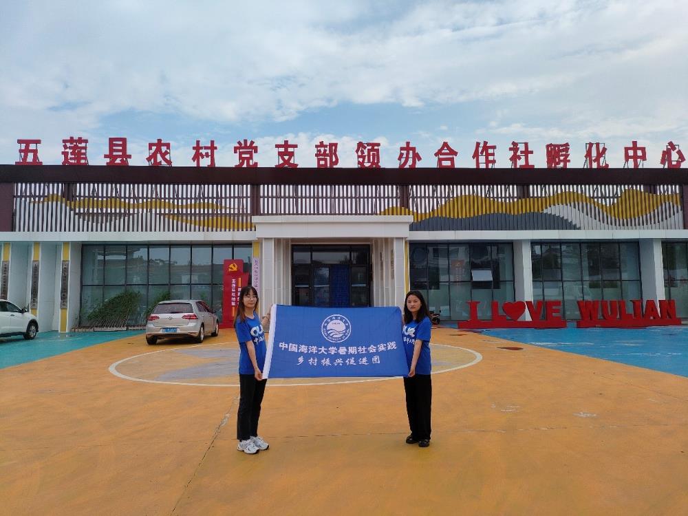 海大學(xué)子三下鄉(xiāng)：因地制宜造就旅游型松柏小鎮(zhèn)