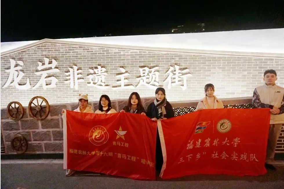 龍巖非遺文化展春節(jié)啟幕，青年學(xué)子助力文化傳承
