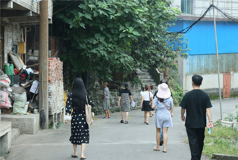 杉木樹下話振興，德田村頭繪新景——西財(cái)學(xué)子三下鄉(xiāng)調(diào)研紀(jì)實(shí)