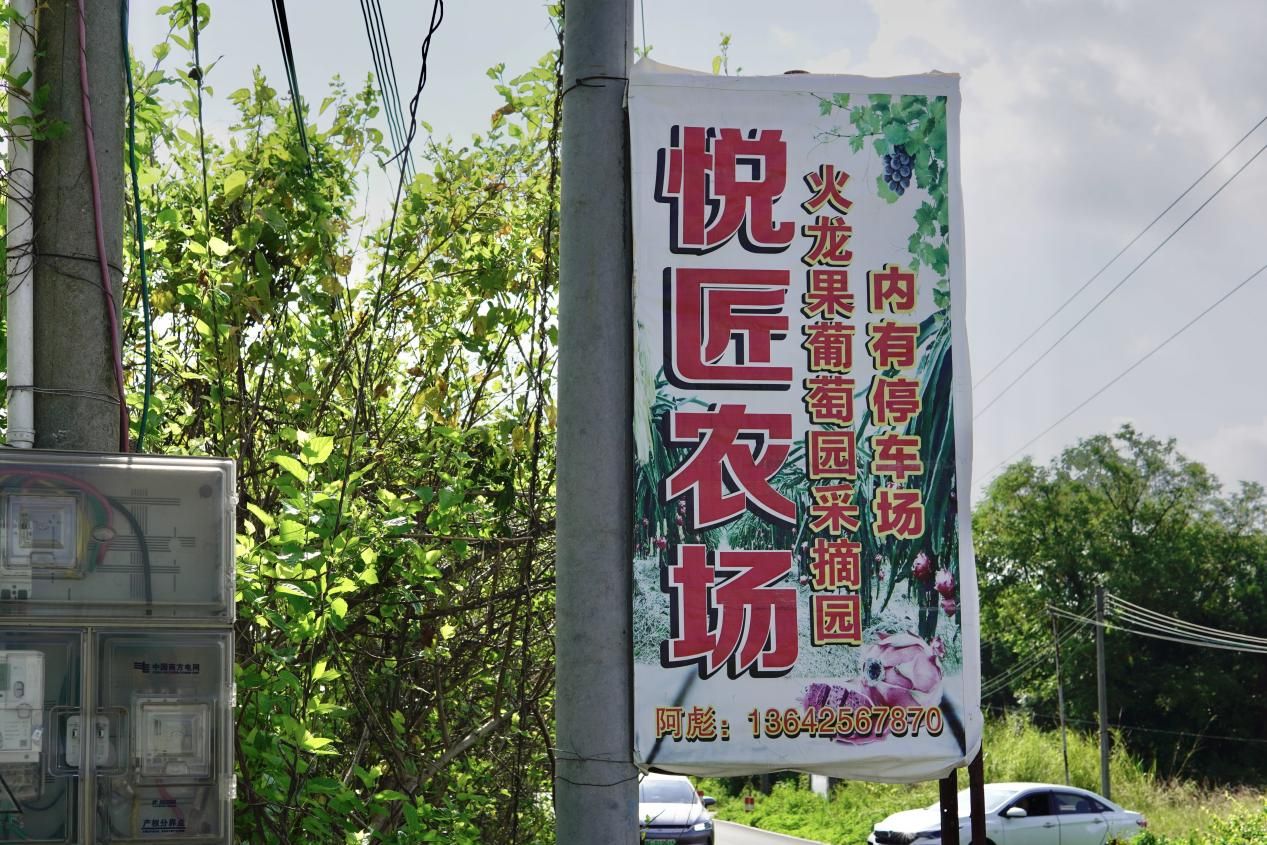 【百千萬工程 助力鄉(xiāng)春】挖掘西河農(nóng)業(yè)特色，探尋產(chǎn)業(yè)發(fā)展脈絡(luò)