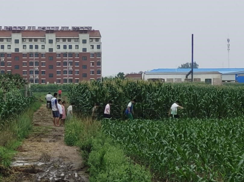 曲園學(xué)子三下鄉(xiāng)：深入基層社區(qū)，調(diào)研社區(qū)消防