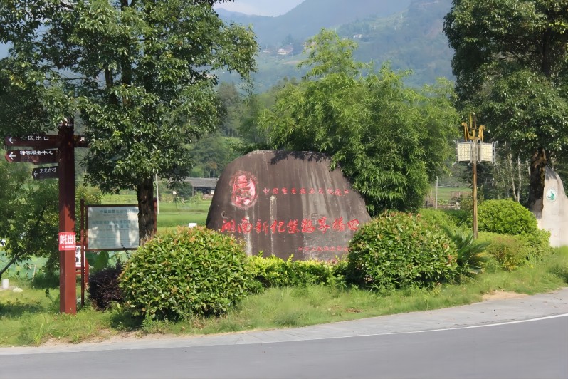 東北大學學子三下鄉(xiāng)：走入旅農企業(yè)，探尋振興新章