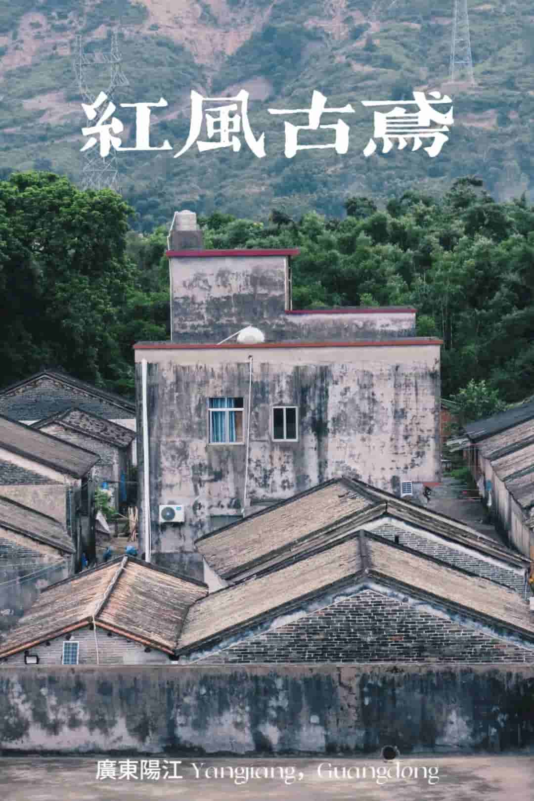 佛科院學子三下鄉(xiāng)：“紅風古鳶”實踐隊走訪鄉(xiāng)村衛(wèi)生院，深入了解村民健康情況