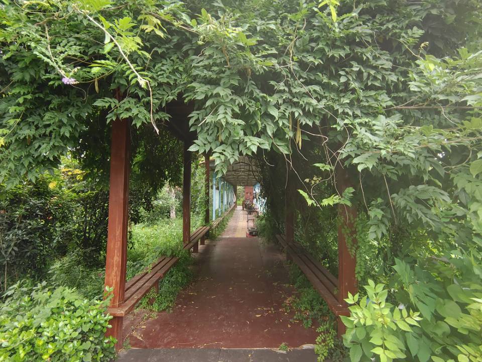 "青春的奉獻(xiàn)：李順雨同學(xué)暑期支教夢，點(diǎn)燃母校東方寄宿學(xué)校學(xué)子心"