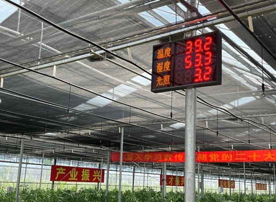 中量大“鋤江夢”小隊(duì)奮力推進(jìn)智慧農(nóng)業(yè)：探訪平江光伏大棚