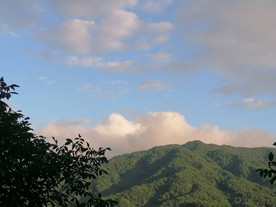 穿梭千年，文物“活”在當(dāng)下 ——蘇州大學(xué)“哲學(xué)+”實踐團走進天水市仙人崖石窟