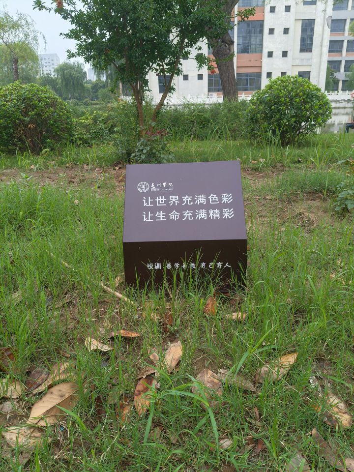 巢湖學(xué)院學(xué)子三下鄉(xiāng)實(shí)踐感悟：走不通的路，就用拳頭來打開