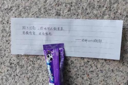 構(gòu)建幸福校園，彰顯文明之風(fēng)