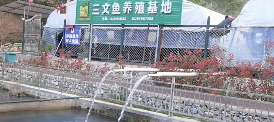 塑造甘南“特色品牌”，擴(kuò)寬群眾增收大道。